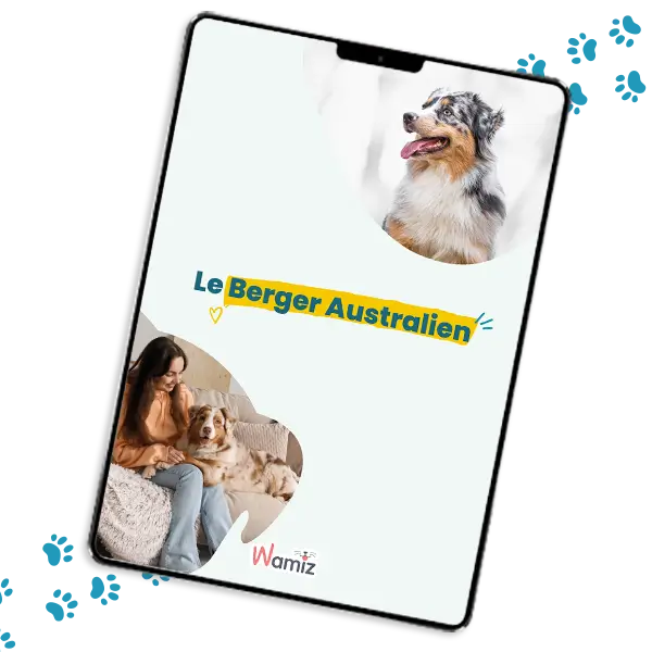 Guide Berger australien